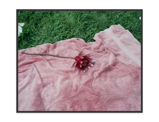 Image rendered by ArtFlows