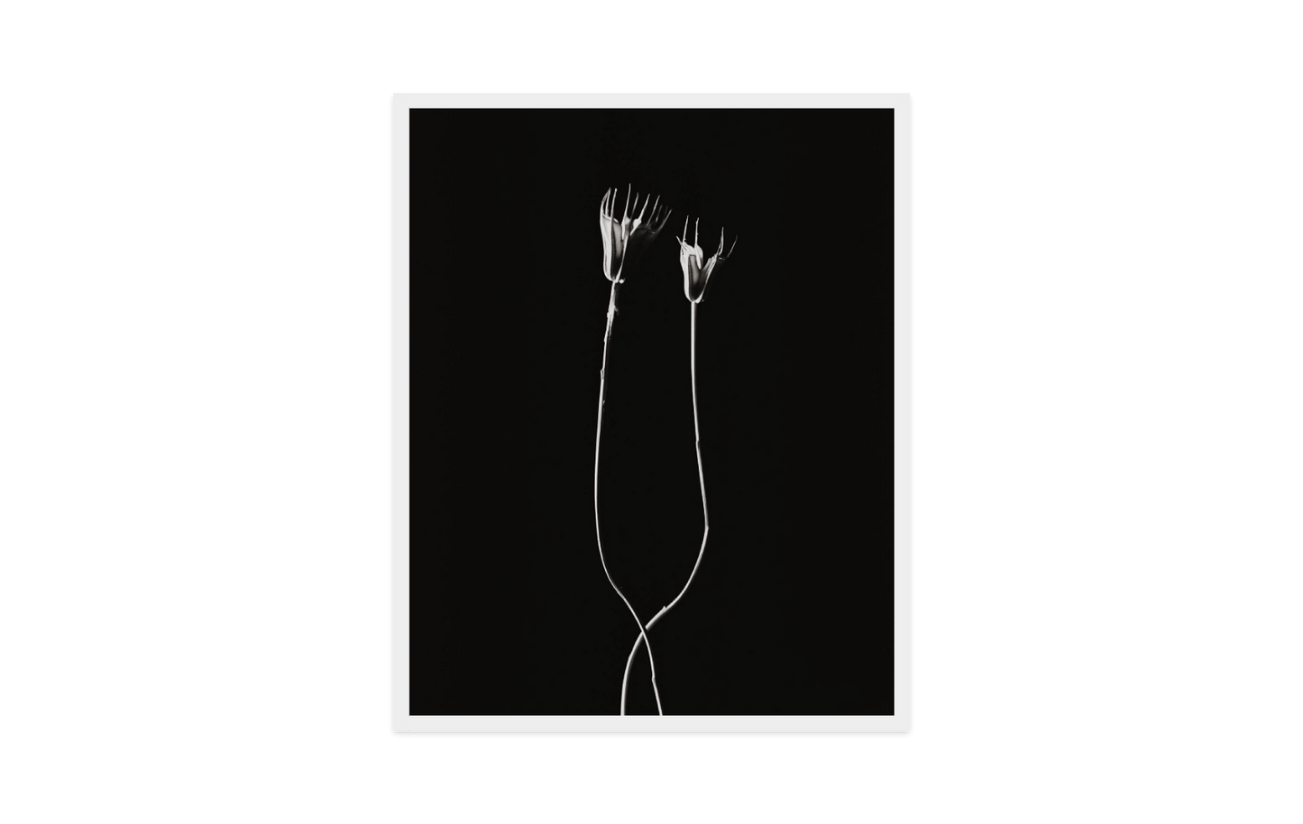 Image rendered by ArtFlows