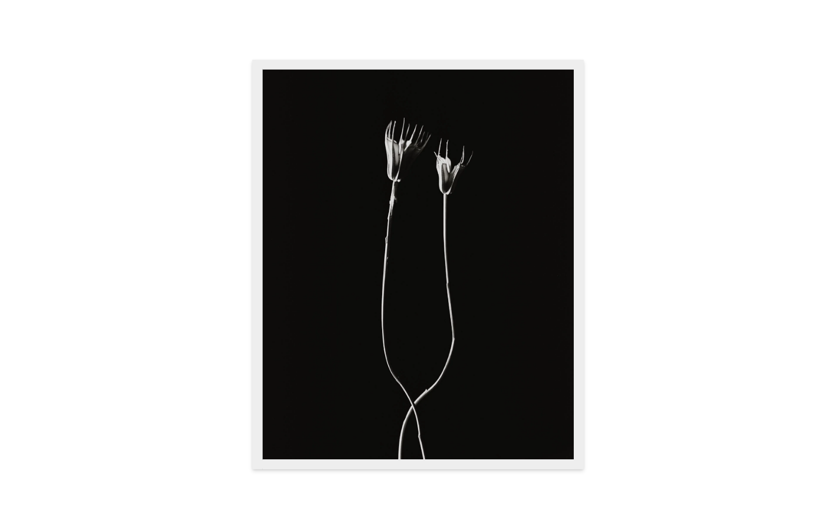 Image rendered by ArtFlows