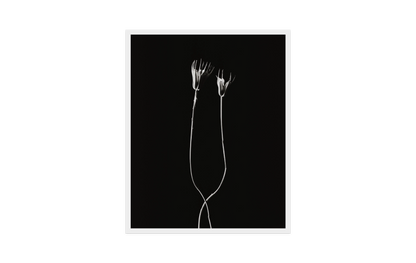 Image rendered by ArtFlows