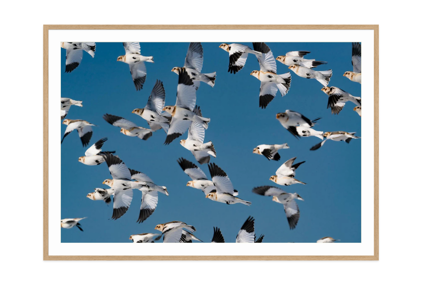 Image rendered by ArtFlows