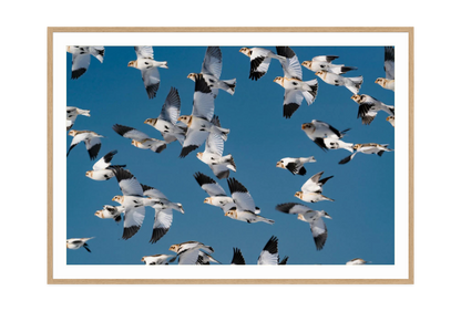 Image rendered by ArtFlows