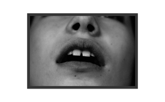 Image rendered by ArtFlows