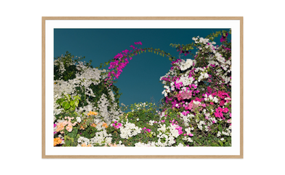Image rendered by ArtFlows