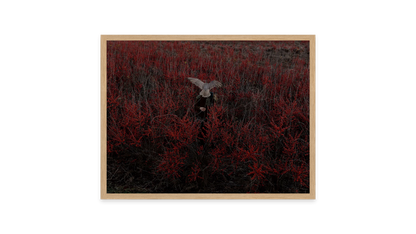Image rendered by ArtFlows