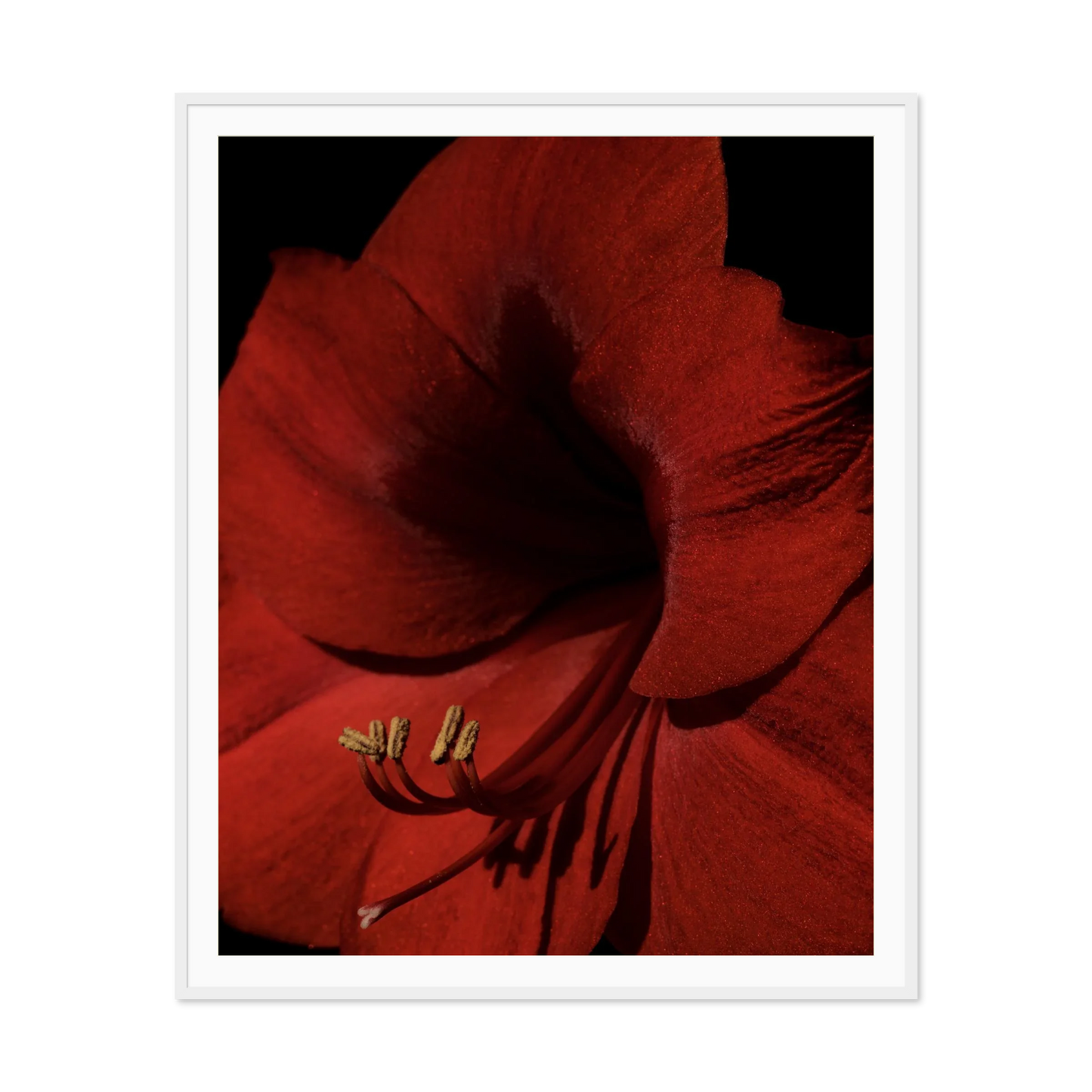 Image rendered by ArtFlows