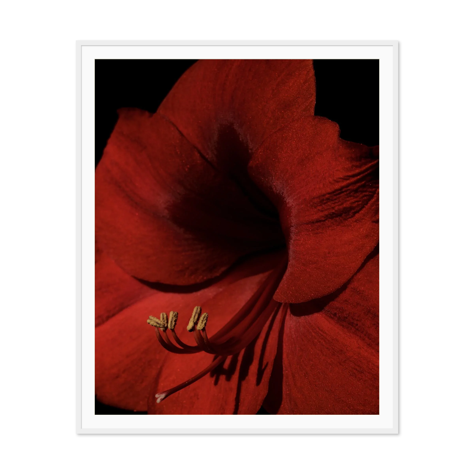 Image rendered by ArtFlows