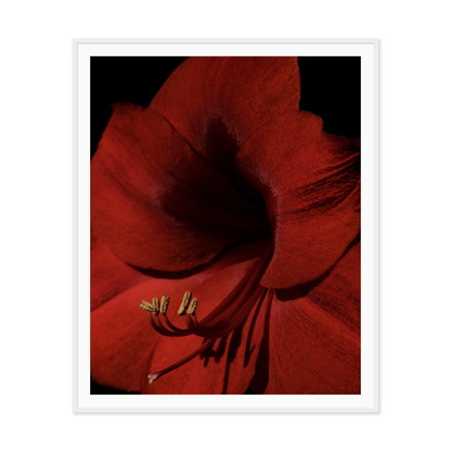 Image rendered by ArtFlows