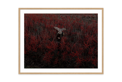 Image rendered by ArtFlows