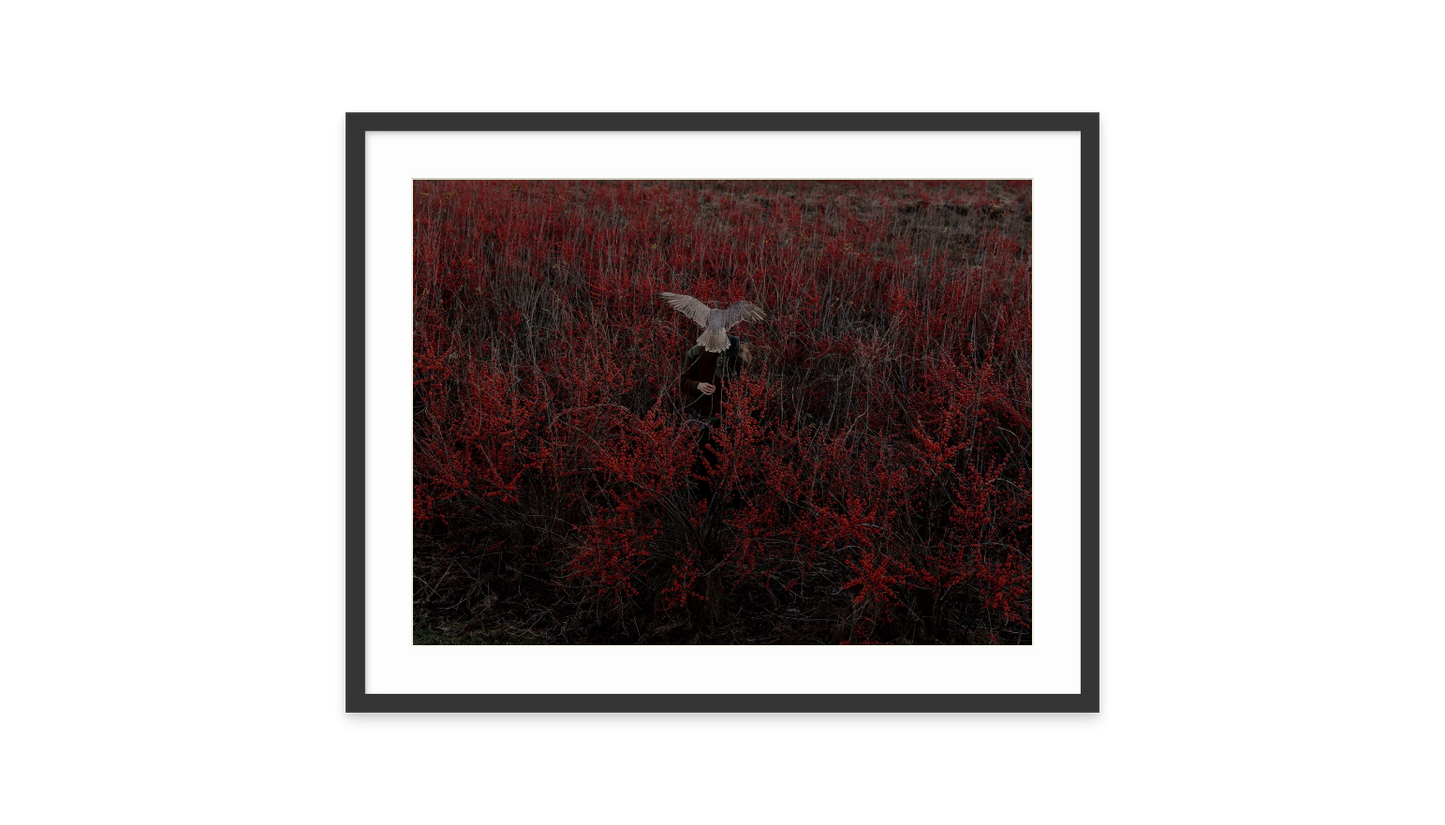Image rendered by ArtFlows