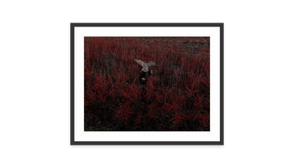 Image rendered by ArtFlows