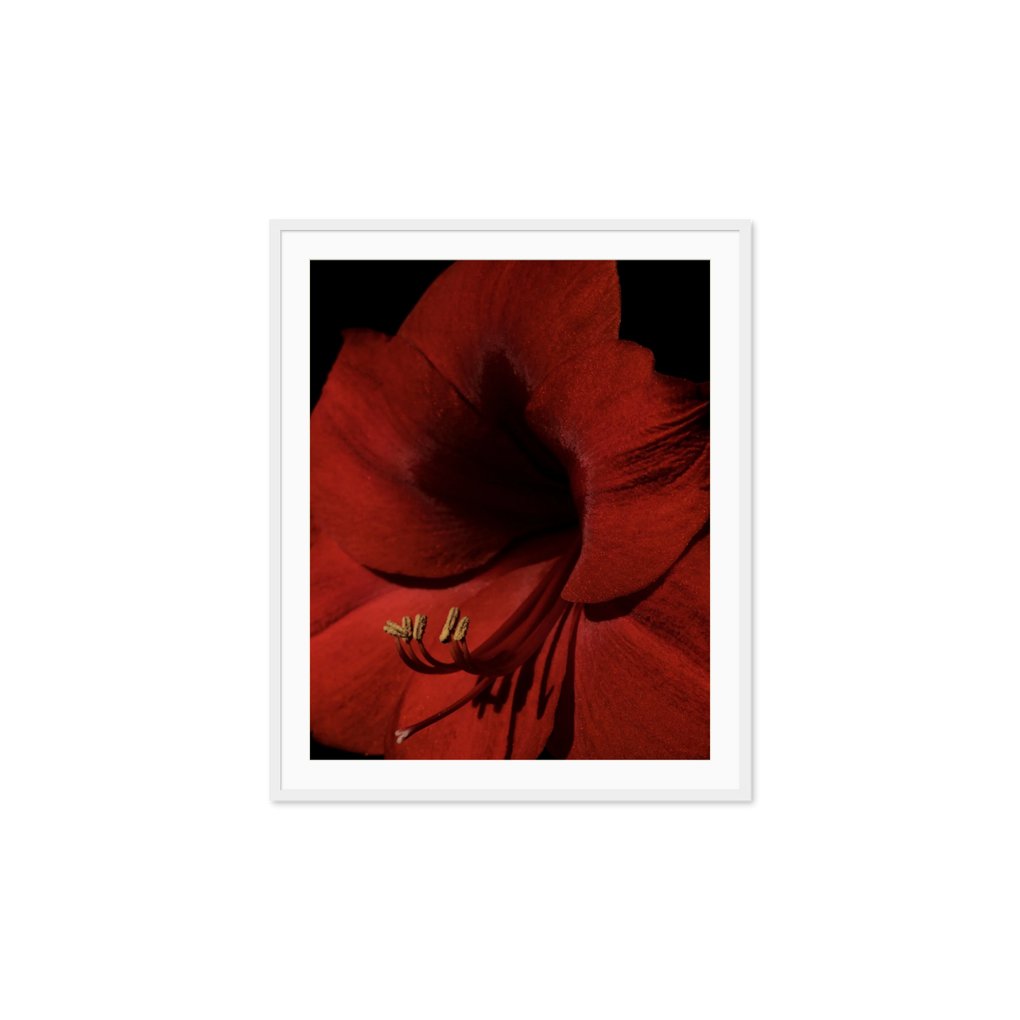 Image rendered by ArtFlows