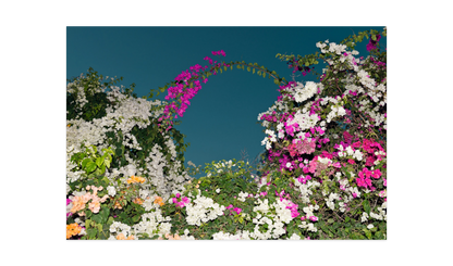 Image rendered by ArtFlows