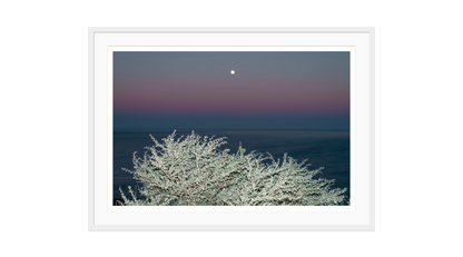 Image rendered by ArtFlows