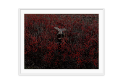 Image rendered by ArtFlows