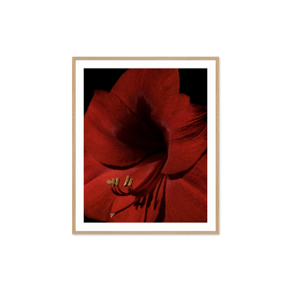 Image rendered by ArtFlows