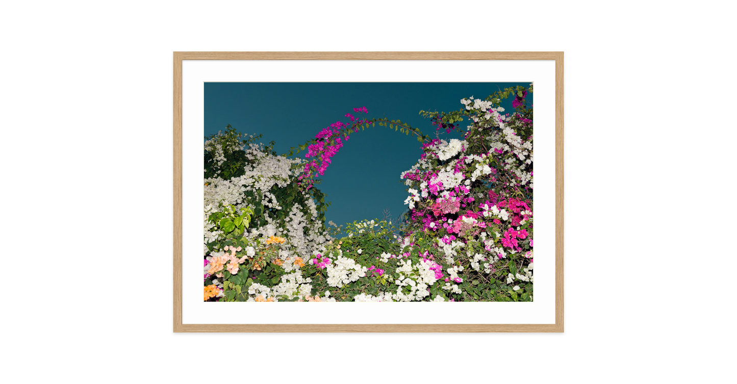Image rendered by ArtFlows