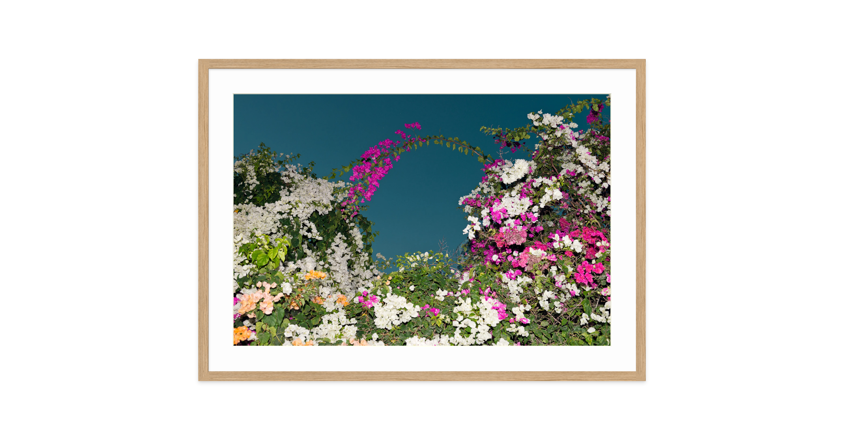 Image rendered by ArtFlows