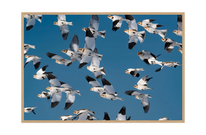 Image rendered by ArtFlows