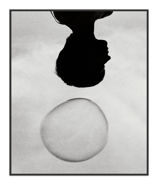 Image rendered by ArtFlows