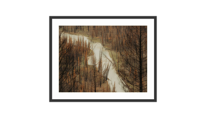 Image rendered by ArtFlows