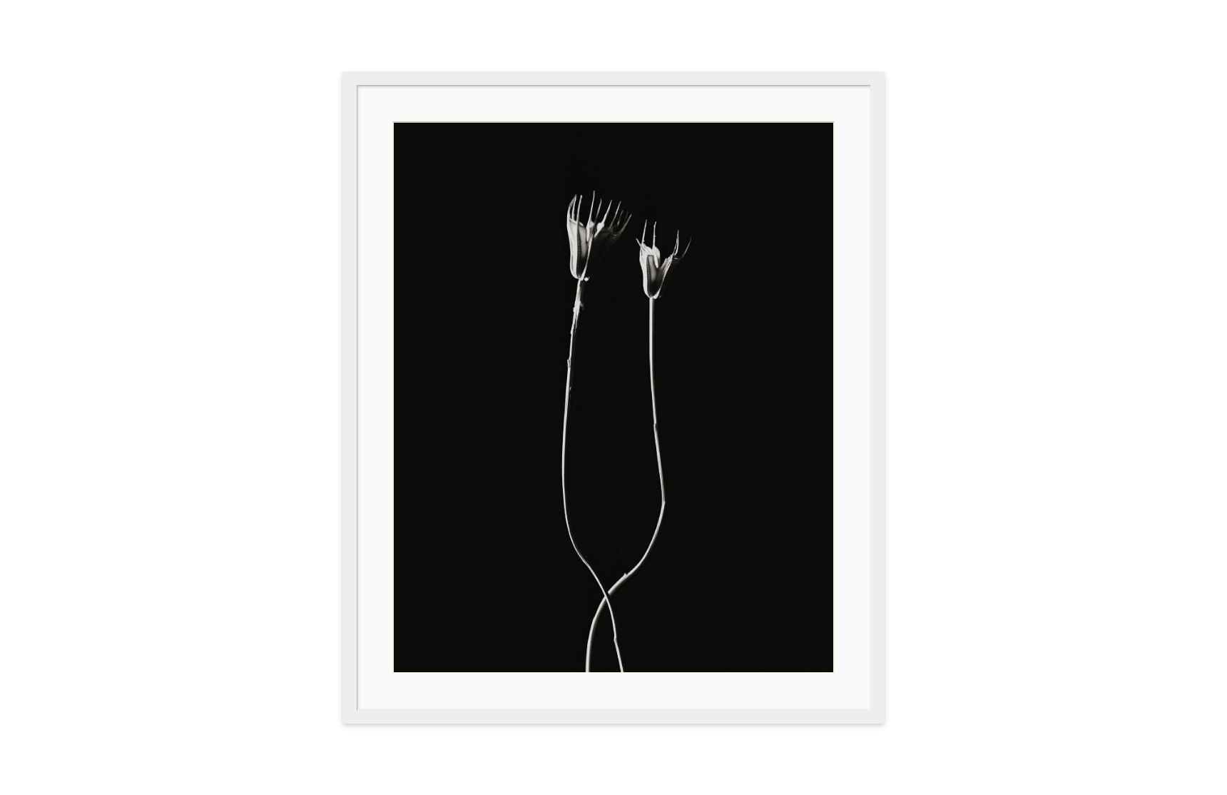 Image rendered by ArtFlows