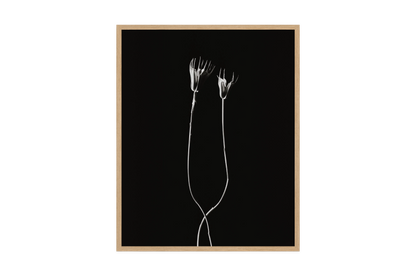 Image rendered by ArtFlows
