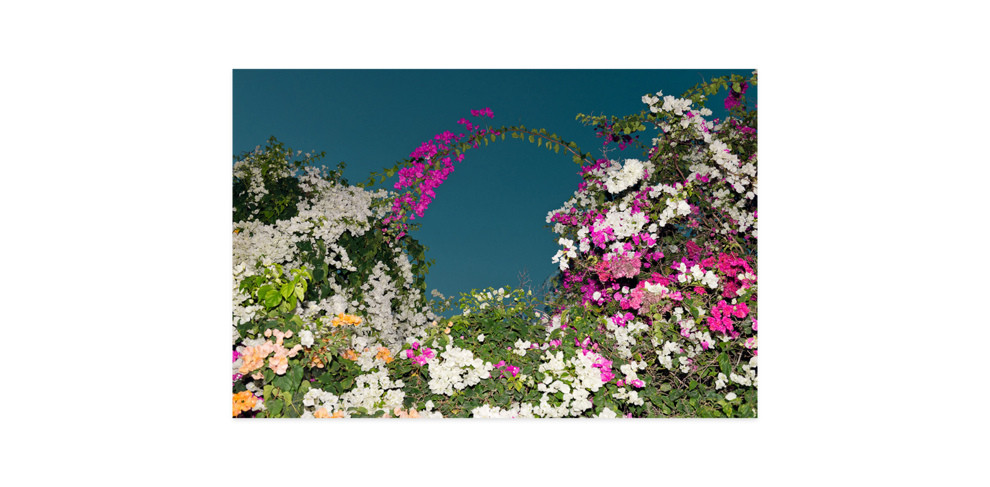 Image rendered by ArtFlows