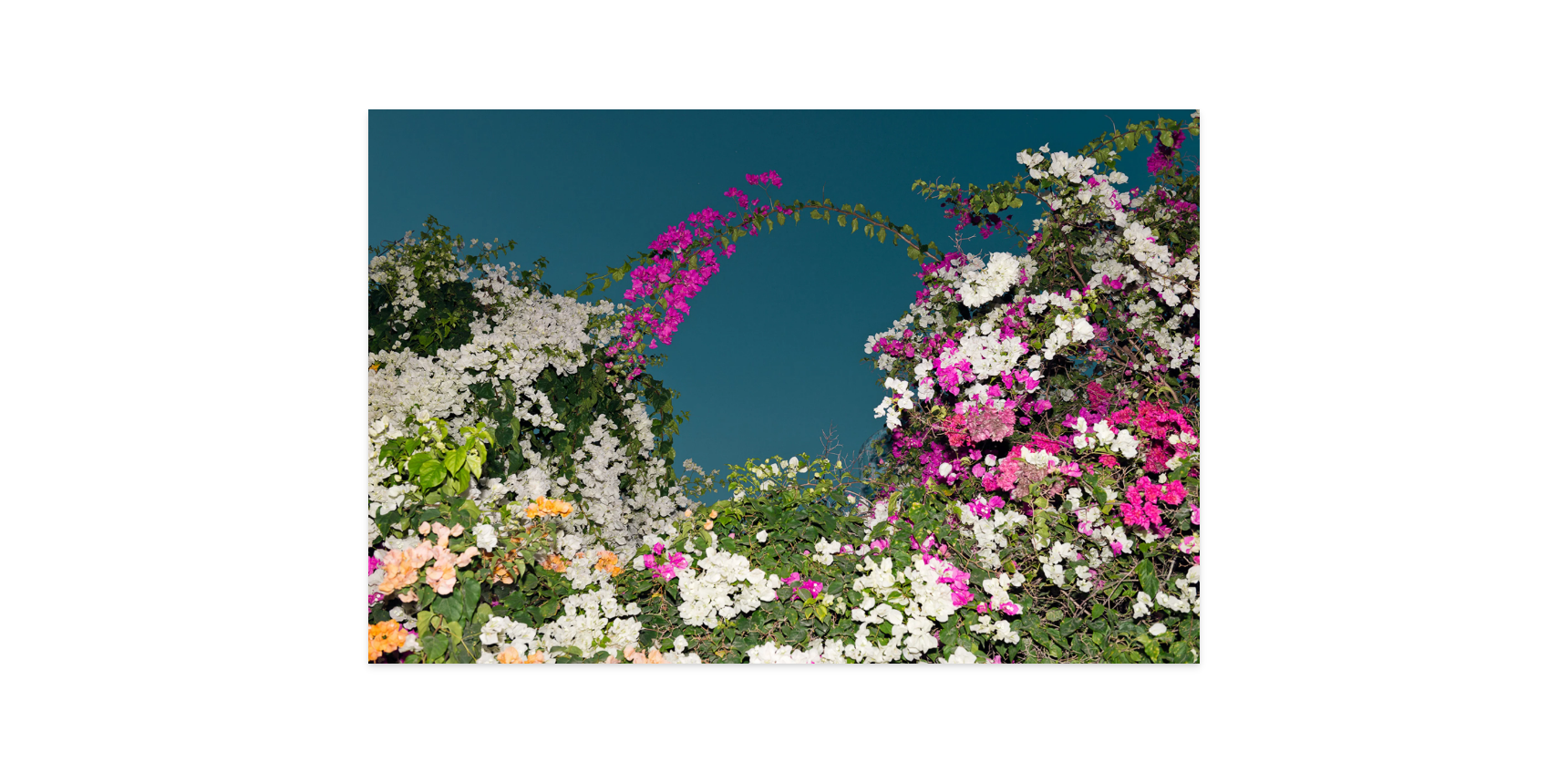 Image rendered by ArtFlows