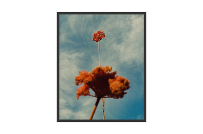 Image rendered by ArtFlows