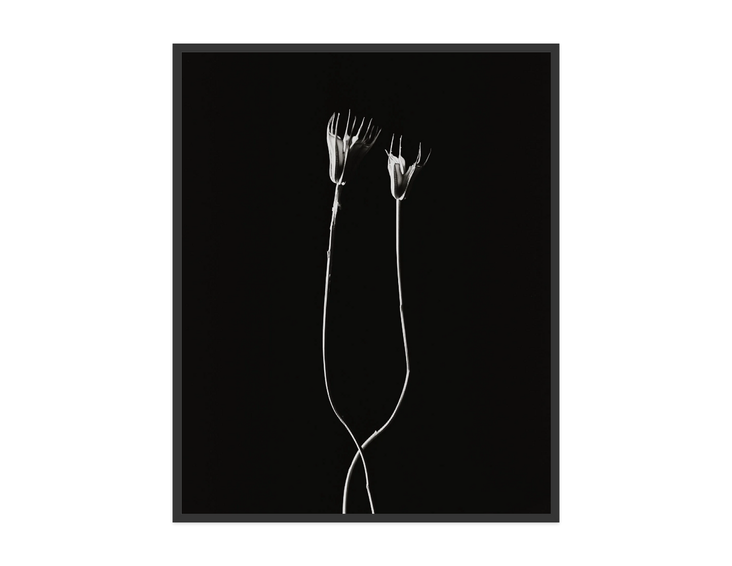 Image rendered by ArtFlows