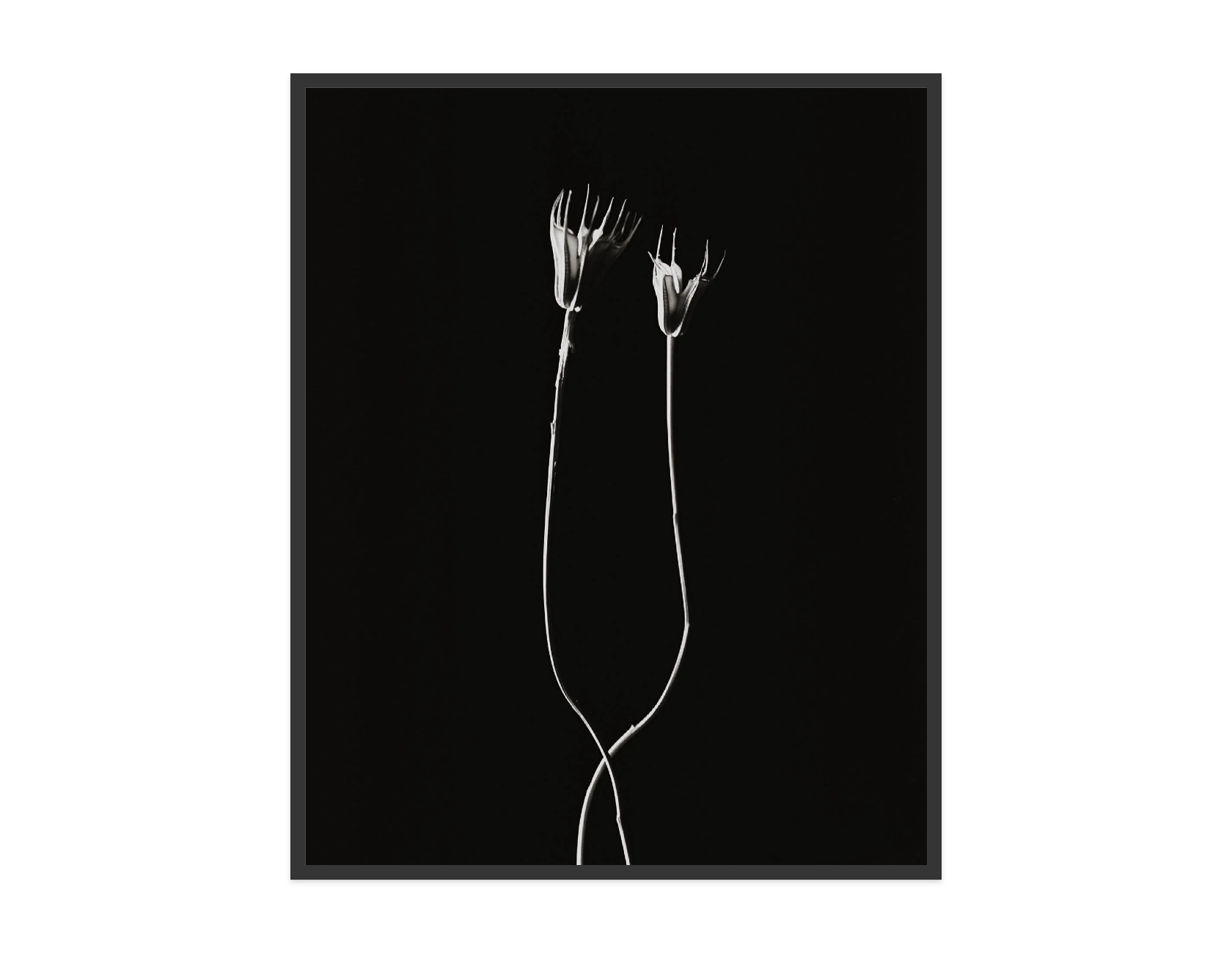 Image rendered by ArtFlows