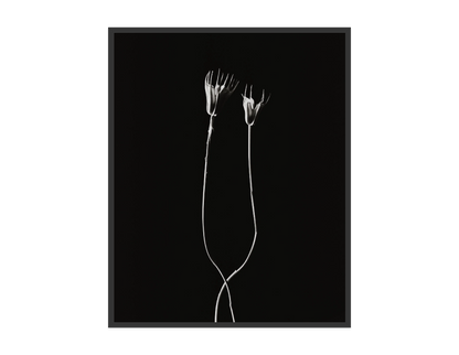 Image rendered by ArtFlows