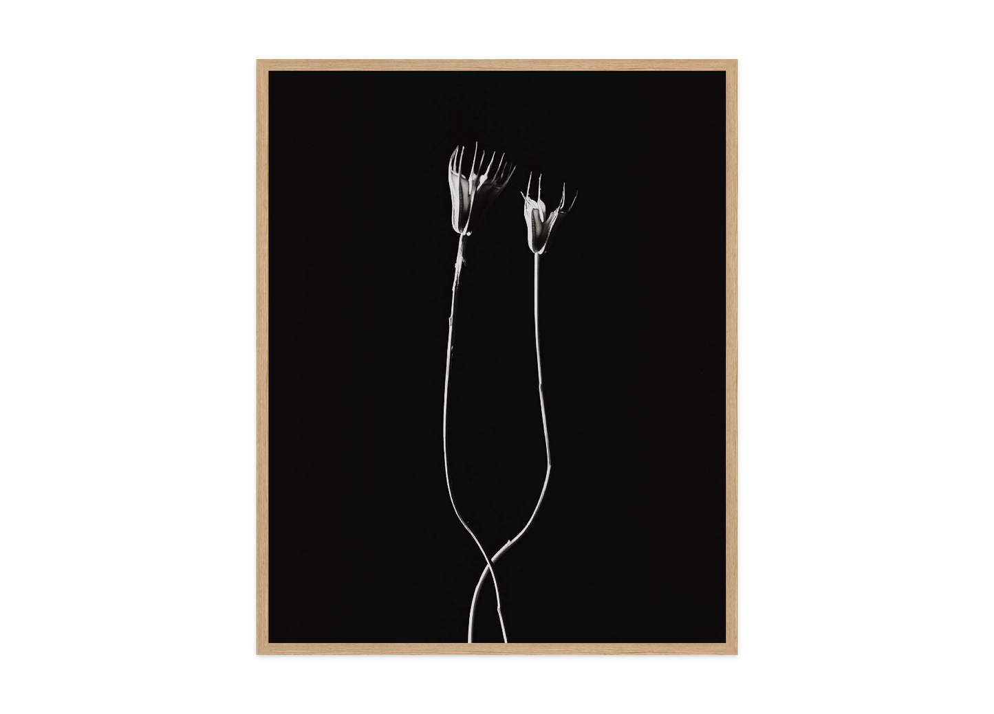 Image rendered by ArtFlows
