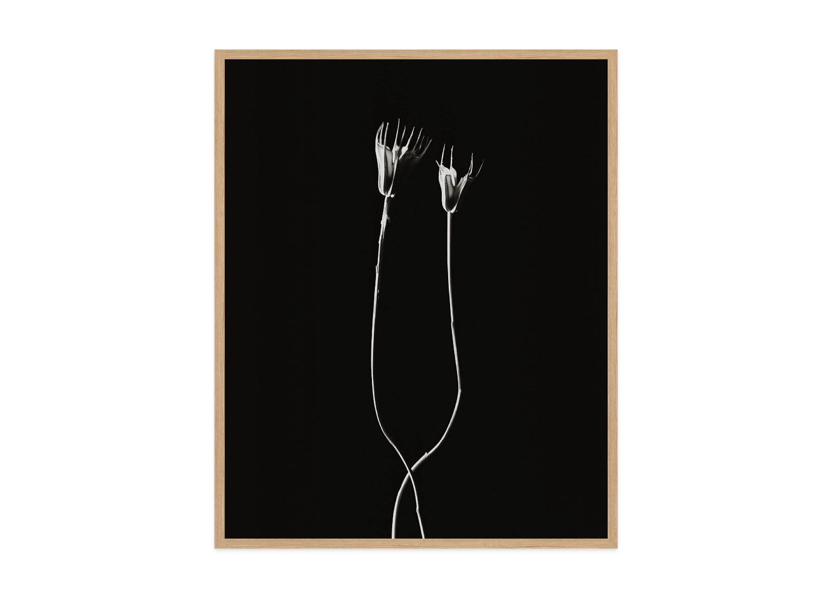 Image rendered by ArtFlows
