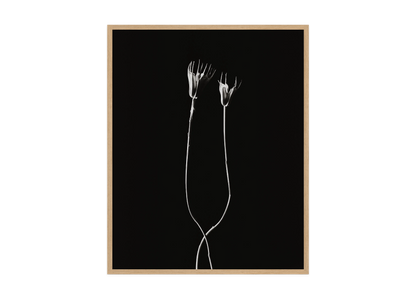 Image rendered by ArtFlows