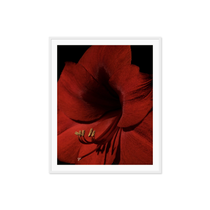 Image rendered by ArtFlows