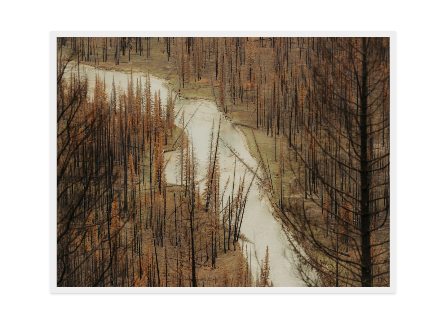 Image rendered by ArtFlows