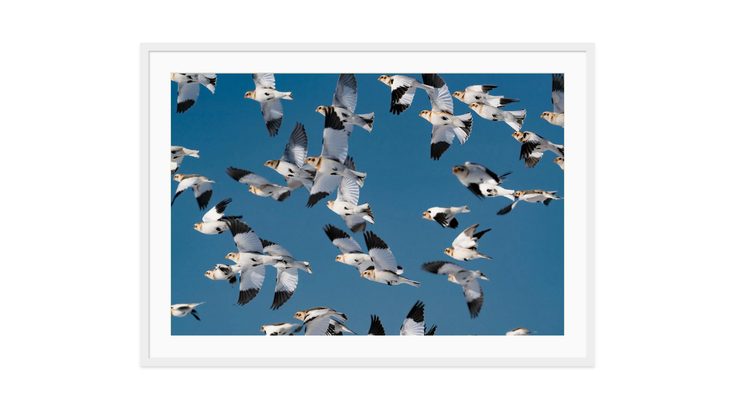 Image rendered by ArtFlows