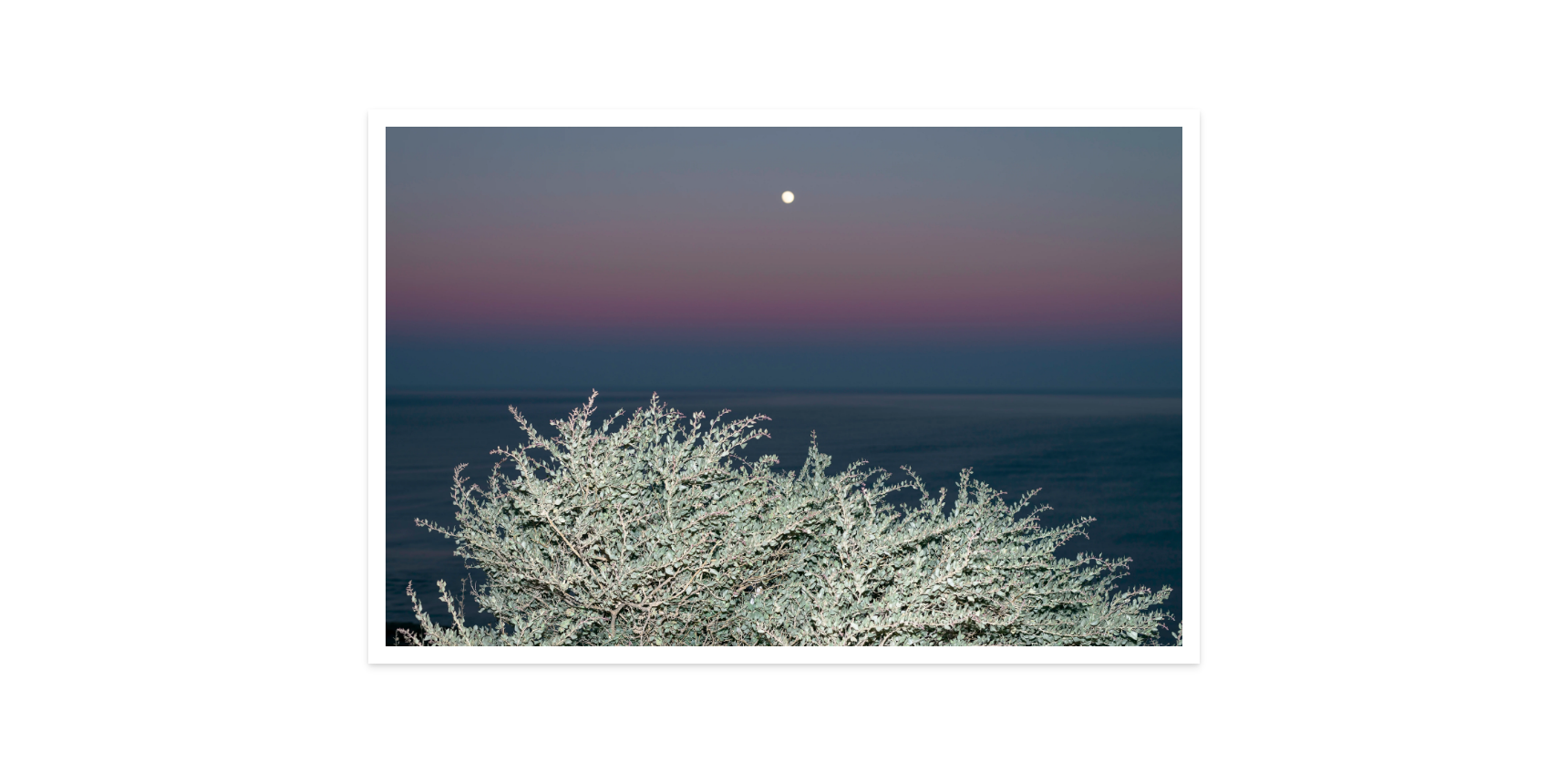 Image rendered by ArtFlows