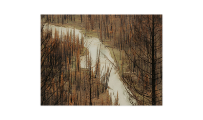 Image rendered by ArtFlows