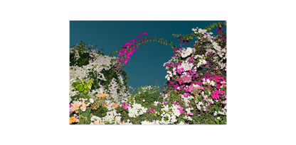 Image rendered by ArtFlows