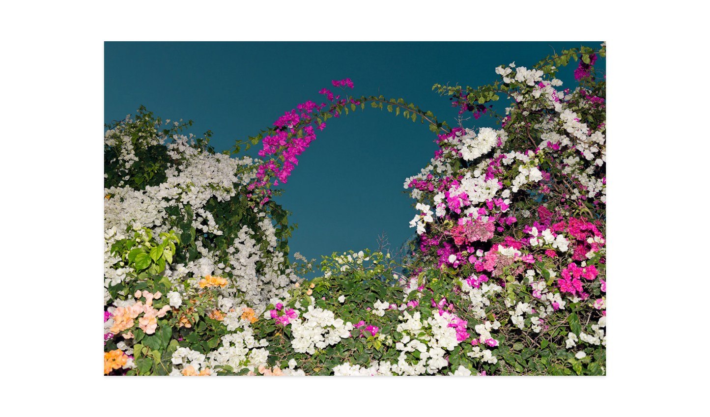 Image rendered by ArtFlows
