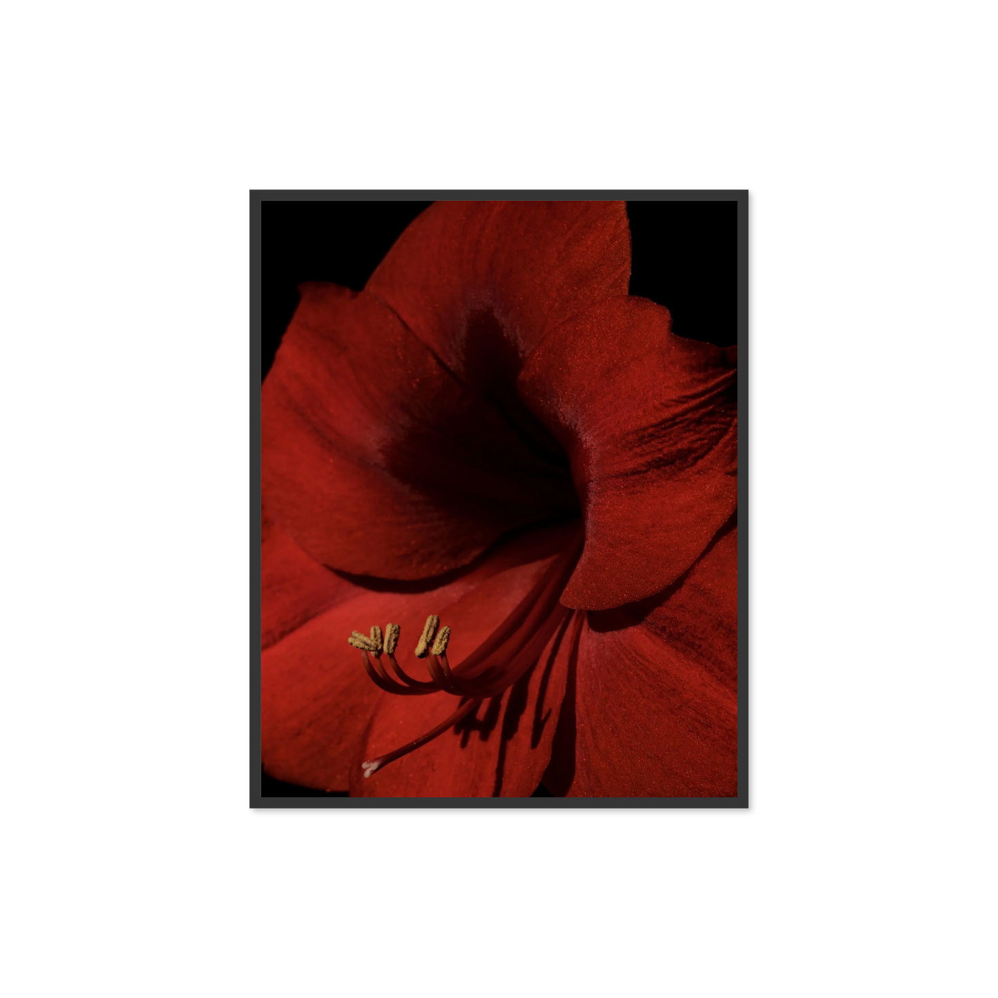 Image rendered by ArtFlows