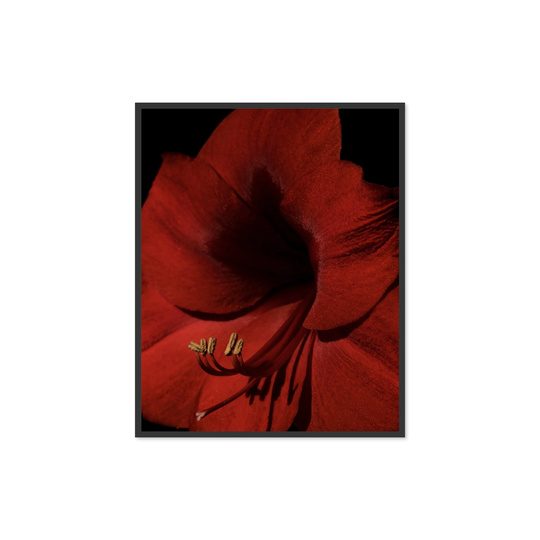 Image rendered by ArtFlows