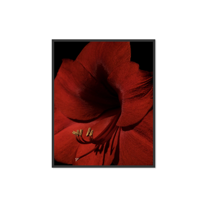 Image rendered by ArtFlows