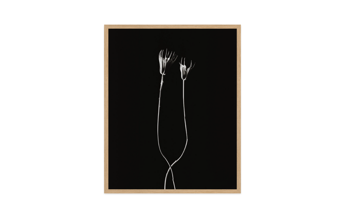 Image rendered by ArtFlows