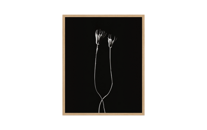 Image rendered by ArtFlows