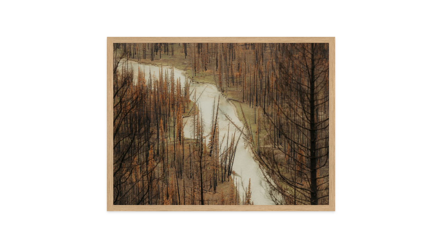 Image rendered by ArtFlows