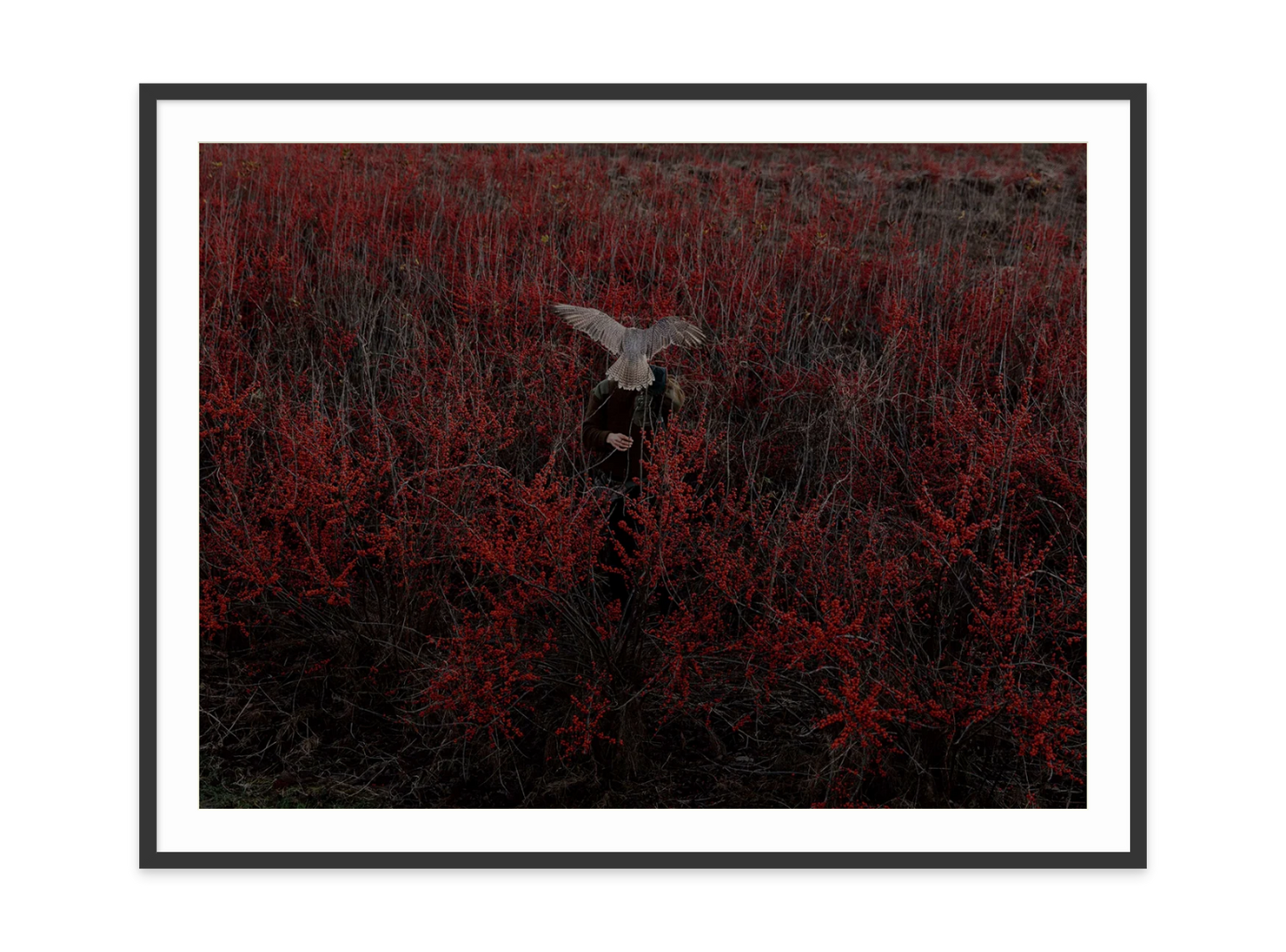Image rendered by ArtFlows